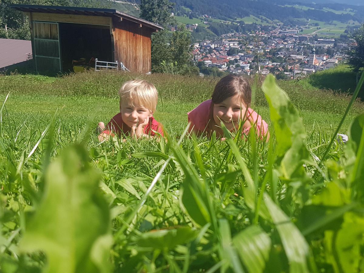 Guest house Goetschlhof Schladming